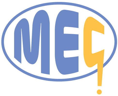 ام اي للاستشارات