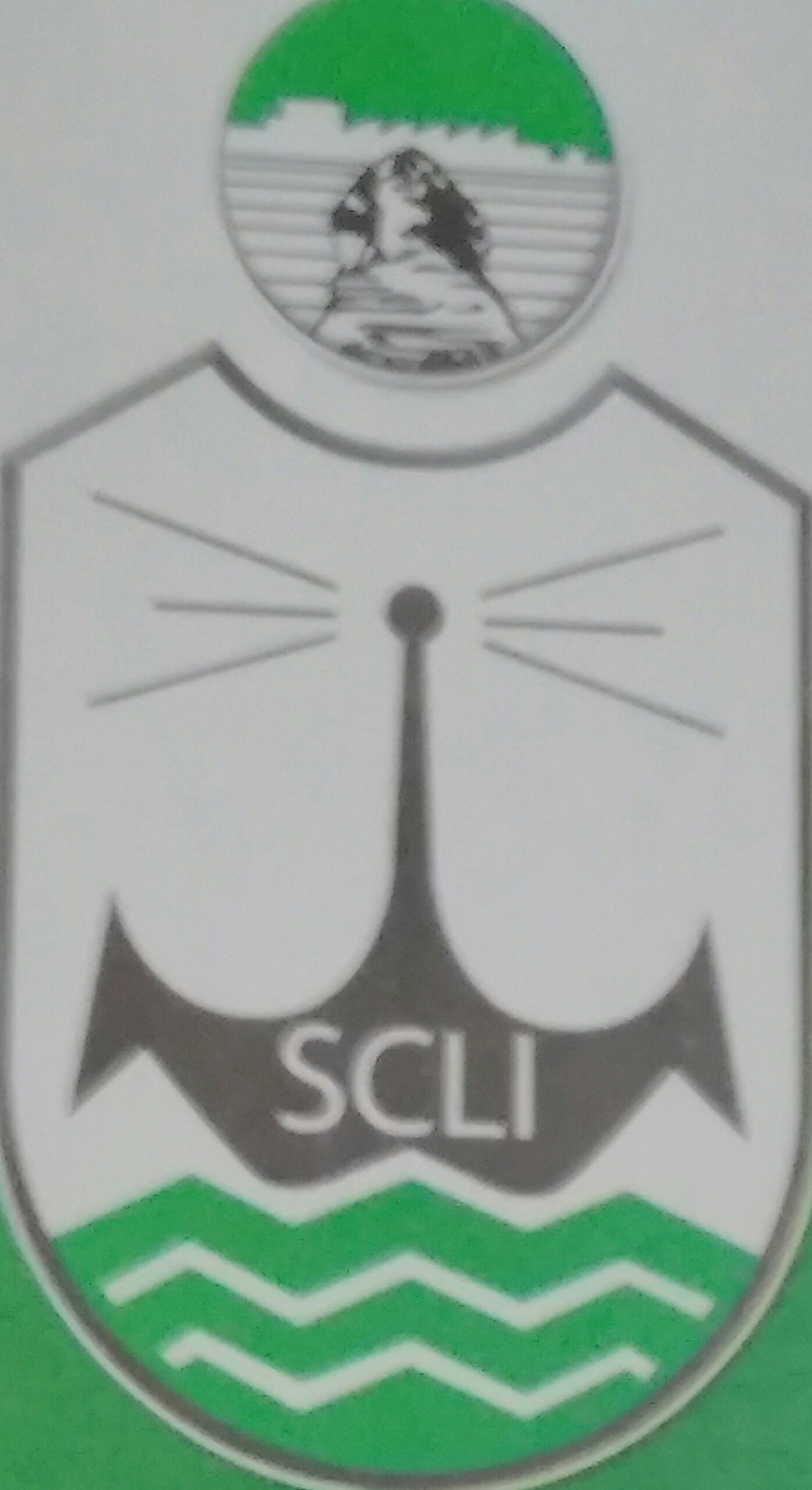 قناة السويس للتأمين