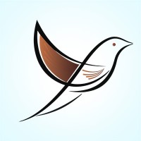 Volga Tigris Digital Marketing Agency